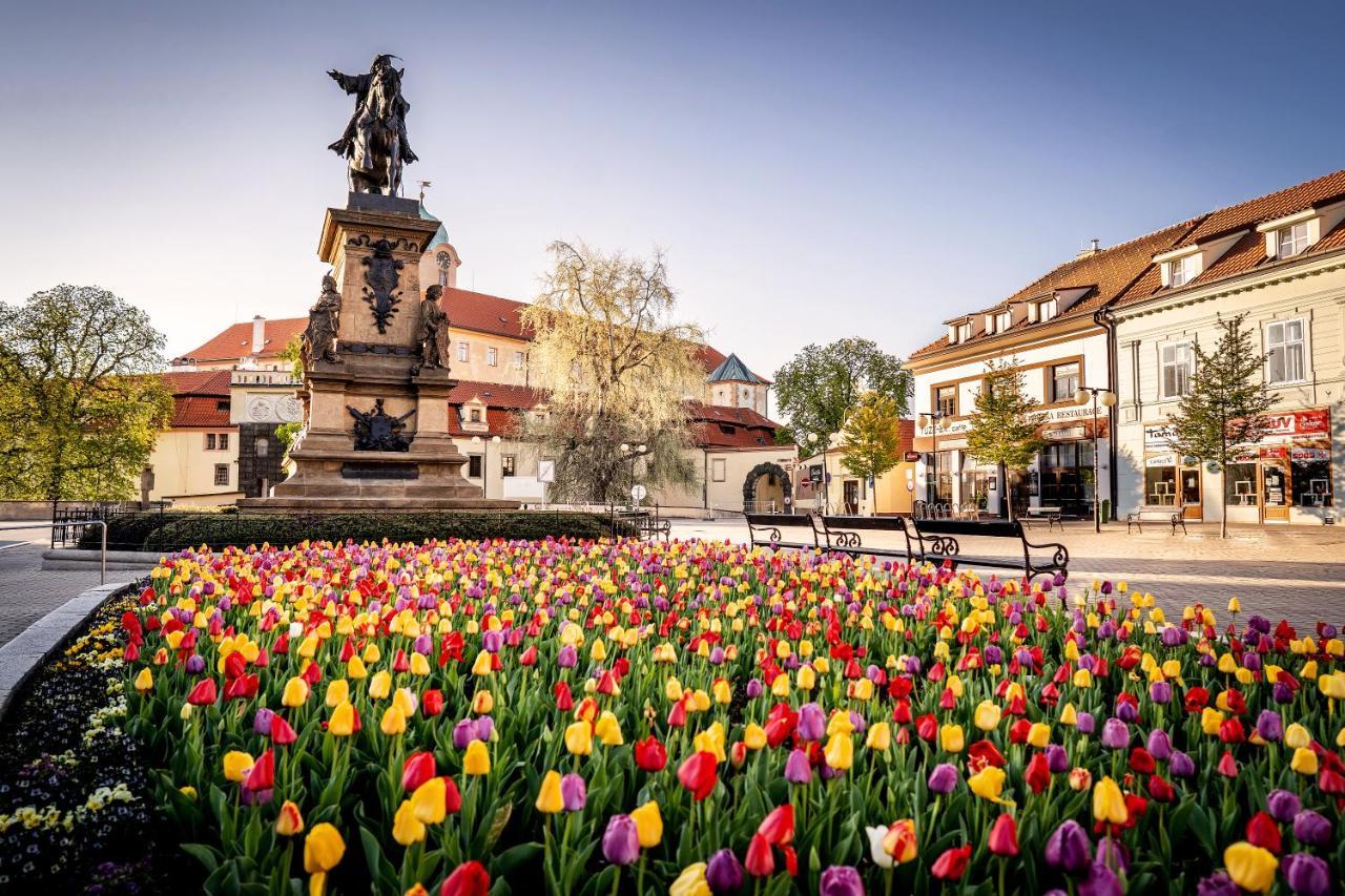 Hotel Bellevue Tlapak Poděbrady Kültér fotó