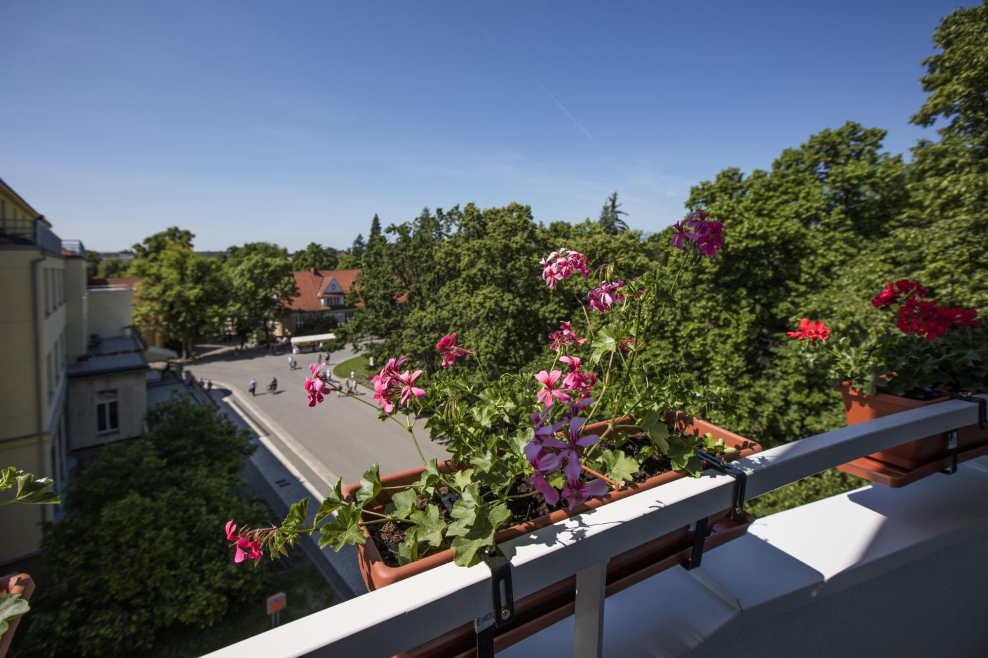 Hotel Bellevue Tlapak Poděbrady Szoba fotó